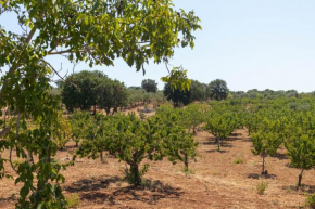 Terre di Caanthea